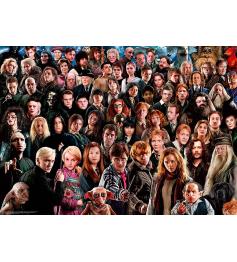 Ravensburger Harry Potter Challenge 1000-teiliges Puzzle