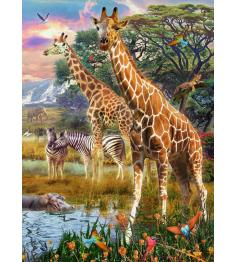Ravensburger Giraffen in Afrika XXL-Puzzle mit 150 Teilen