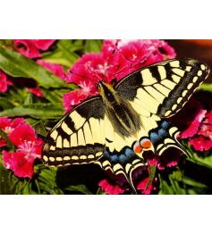 Puzzle Ravensburger Schmetterling 500 Teile