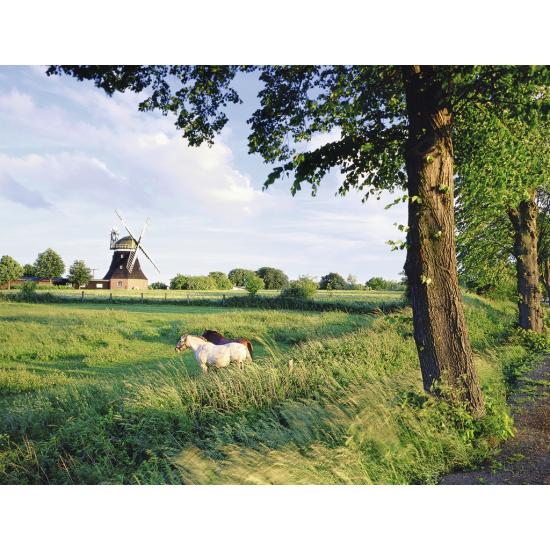 Ravensburger Mill in the Field Puzzle 2000 Teile