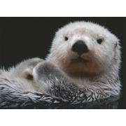 Ravensburger Adorable Otter 500-teiliges Puzzle