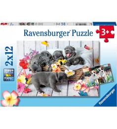 Ravensburger Puzzle Kleine Haarbälle 2x12 Teile