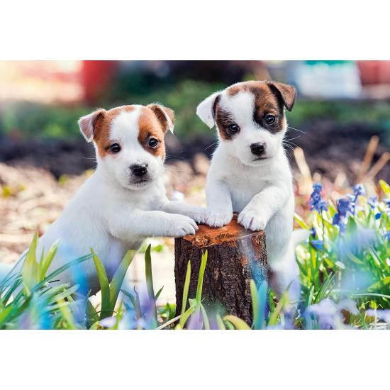 Ravensburger Puzzle Kleine Haarbälle 2x12 Teile