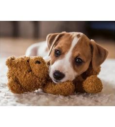 Puzzle Ravensburger Welpe Mit Teddybär 500 Teile