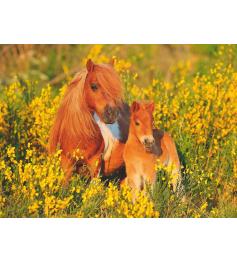 Ravensburger Shetlandpony XXL-Puzzle mit 100 Teilen