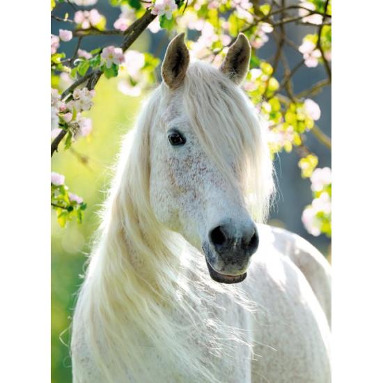 Ravensburger Pferdesport-Frühlingspuzzle 500 Teile