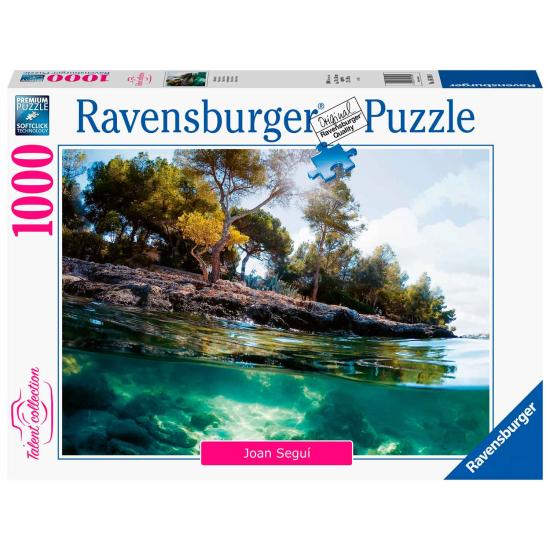 Ravensburger Points of View Puzzle 1000 Teile