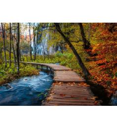 Puzzle Ravensburger Herbstlicher Waldweg 1000 Teile