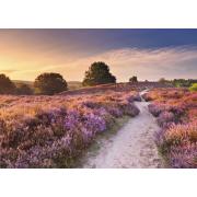 Puzzle Ravensburger Rosa Weg 1000 Teile