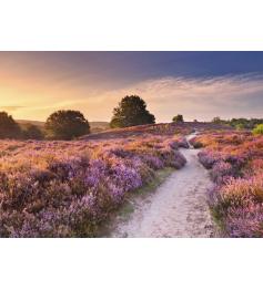 Puzzle Ravensburger Rosa Weg 1000 Teile
