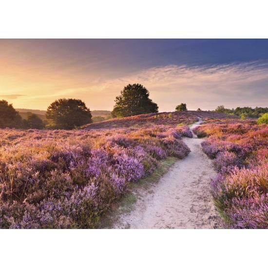 Puzzle Ravensburger Rosa Weg 1000 Teile