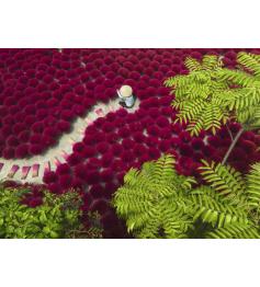 Puzzle Ravensburger Ein Meer Aus Rot 500 Teile
