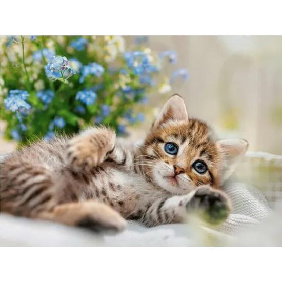 Puzzle Ravensburger Ein Strauß Süße 500 Teile