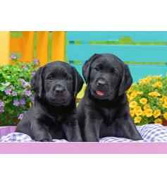 Ravensburger Puzzle Life of Puppies XXL 300 Teile