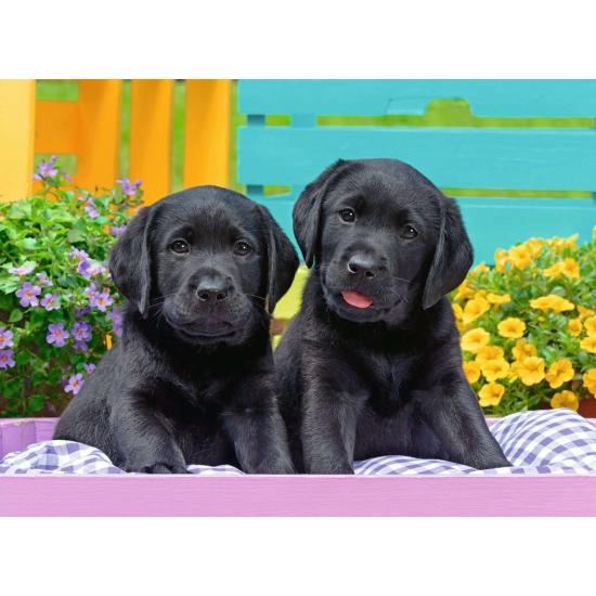 Ravensburger Puzzle Life of Puppies XXL 300 Teile