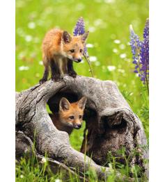 Ravensburger Curious Foxes Puzzle XXL 300 Teile
