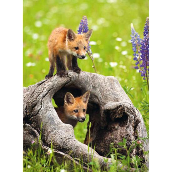 Ravensburger Curious Foxes Puzzle XXL 300 Teile Ravensburger Curious Foxes Puzzle XXL 300 Teile