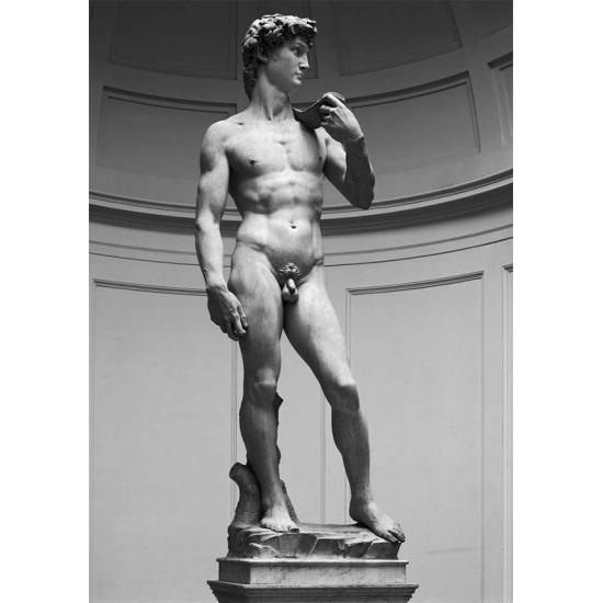 Ricordi Der David Puzzle 1000 Teile