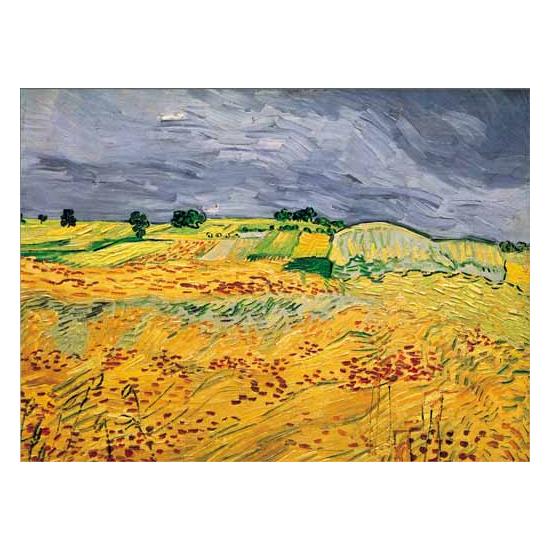 Ricordi Puzzle Die Felder 1000 Teile