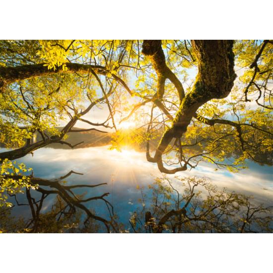 Schmidt Golden Hug Puzzle 1000 Teile