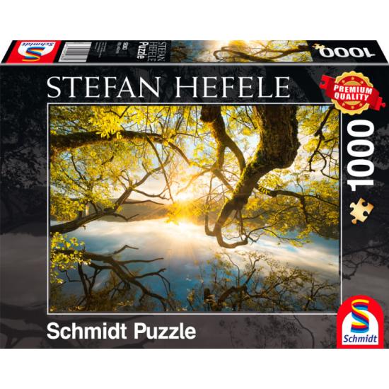 Schmidt Golden Hug Puzzle 1000 Teile