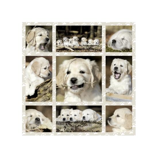 Schmidt Welpen Puzzle 1000 Teile