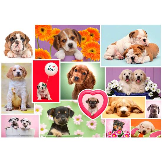 Schmidt Collage of Dogs Puzzle 1000 Teile