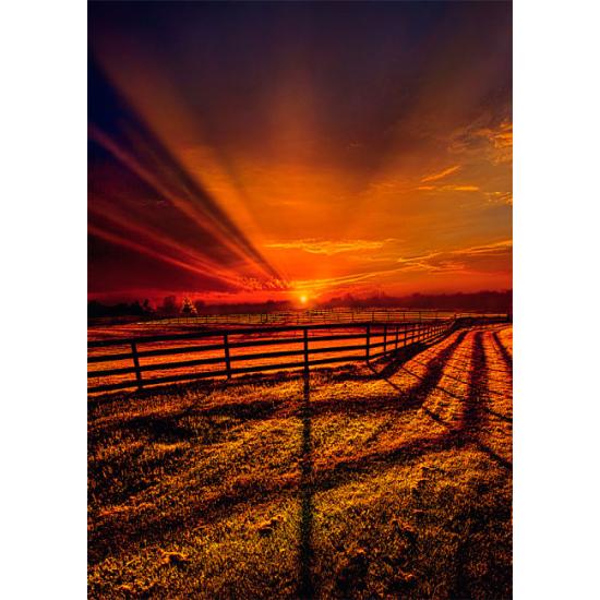 Schmidt Puzzle Die Stille der Nacht 1000 Teile