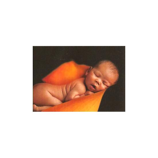 Schmidt Der Traum Puzzle 1000 Teile