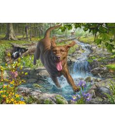 Puzzle Schmidt Frühlingsspaß Mit Einem Labrador Retriever 1000 T