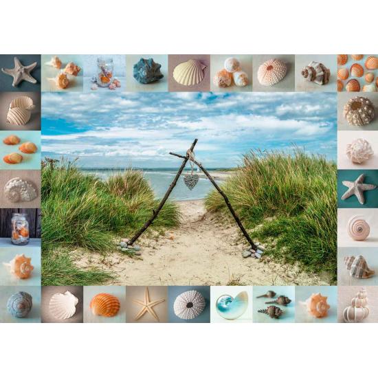 Schmidt-Puzzle „Am Strand gefunden“ 1000 Teile Schmidt-Puzzle „Am Strand gefunden“ 1000 Teile