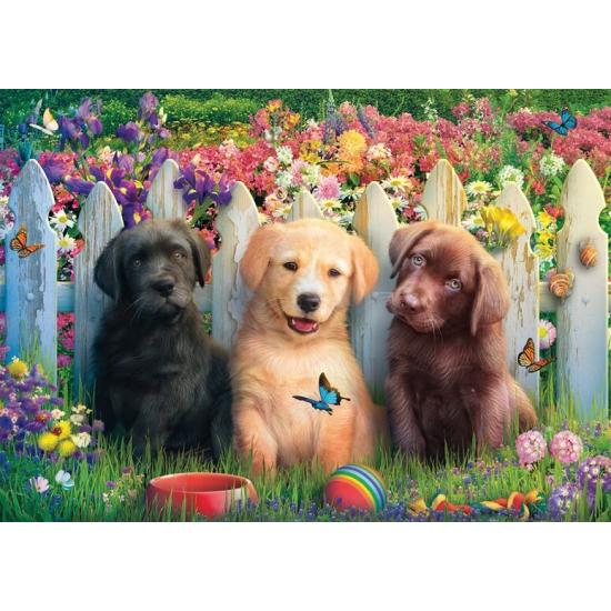 Puzzle Schmidt Szene Mit Niedlichen Welpen 1000 Teile