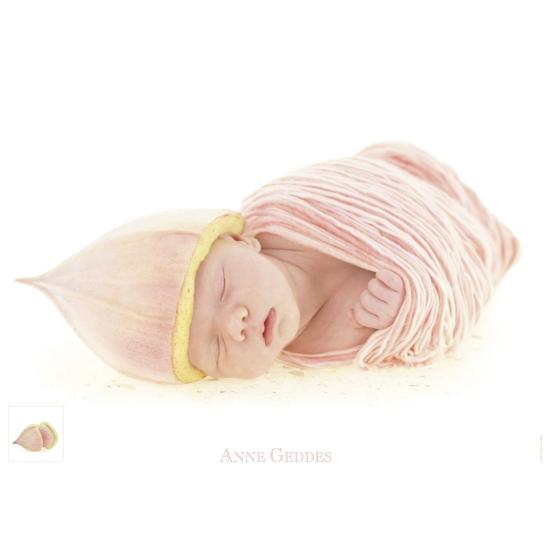 Schmidt Eukalyptus 1000-teiliges Puzzle