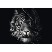 Puzzle Schmidt Wildheit, Tiger: Freiheit 1000 Teile