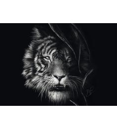 Puzzle Schmidt Wildheit, Tiger: Freiheit 1000 Teile