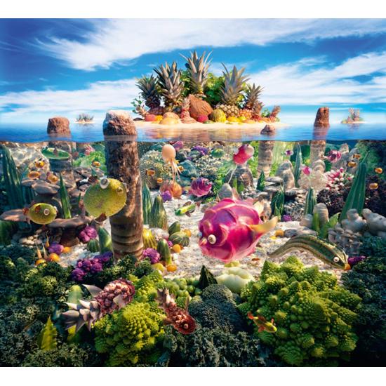 Schmidt Puzzle South Island Urban 1000 Teile