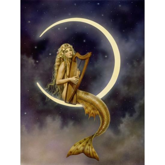 Schmidt Puzzle Nachtmelodie, Serenade von 1000 Teilen