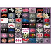 Schmidt Mix Flowers Puzzle 2000 Teile