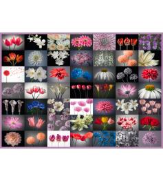 Schmidt Mix Flowers Puzzle 2000 Teile