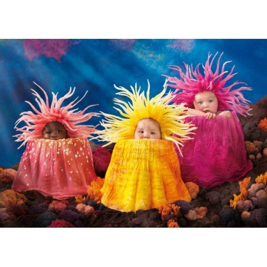 Schmidt Schätze des Meeres Puzzle 1000 Teile