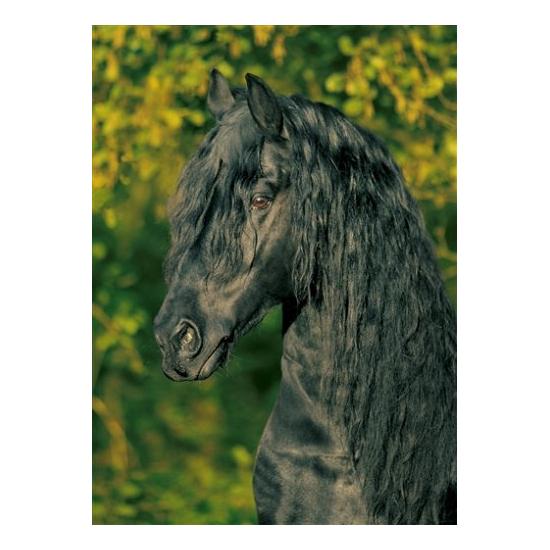 Schmidt Timothy Puzzle 1000 Teile