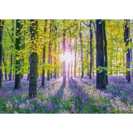 Puzzle Schmidt Ruhige Wälder mit Glockenblumen 1000 Puzzle Schmidt Ruhige Wälder mit Glockenblumen 1000