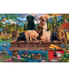 Puzzle Schmidt Hundefamilie am See 1000 Teile