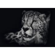 Puzzle Schmidt Geschwindigkeit, Gepard: Eleganz 1000 Teile