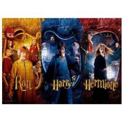SDToys Harry Potter, Ron und Hermine Puzzle mit 1000 Teilen