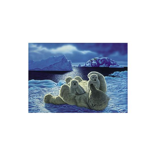 SpielSpass Zukunftspuzzle für zwei 1000 Teile