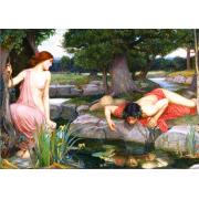 Star Eco und Narcissus Puzzle mit 2000 Teilen