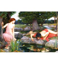 Star Eco und Narcissus Puzzle mit 2000 Teilen