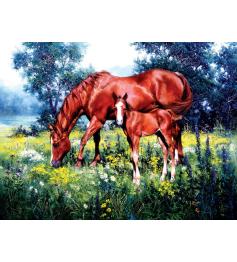 SunsOut Pferde und Gänseblümchen Puzzle 1000 Teile
