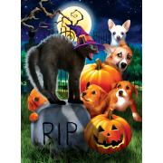 SunsOut Welpen auf Halloween Puzzle 1000 Teile